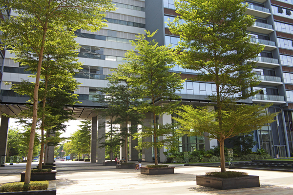 東莞數(shù)碼城消防改造工程項目 東莞數(shù)碼城消防改造工程項目