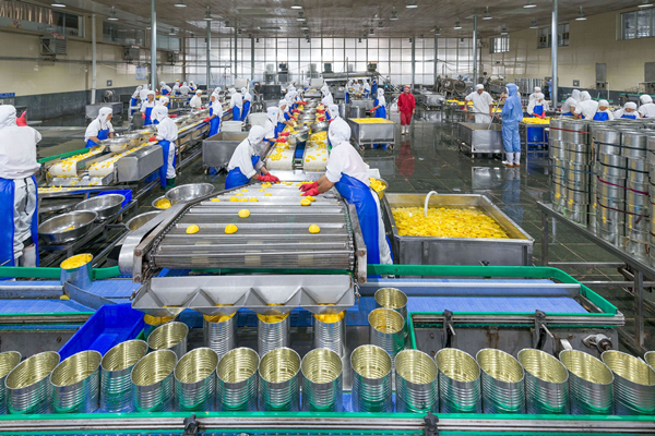 梅州罐頭廠消防改造工程項(xiàng)目 梅州罐頭廠消防改造工程項(xiàng)目